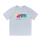Grey Trapstar Chenille Decoded T-shirt image